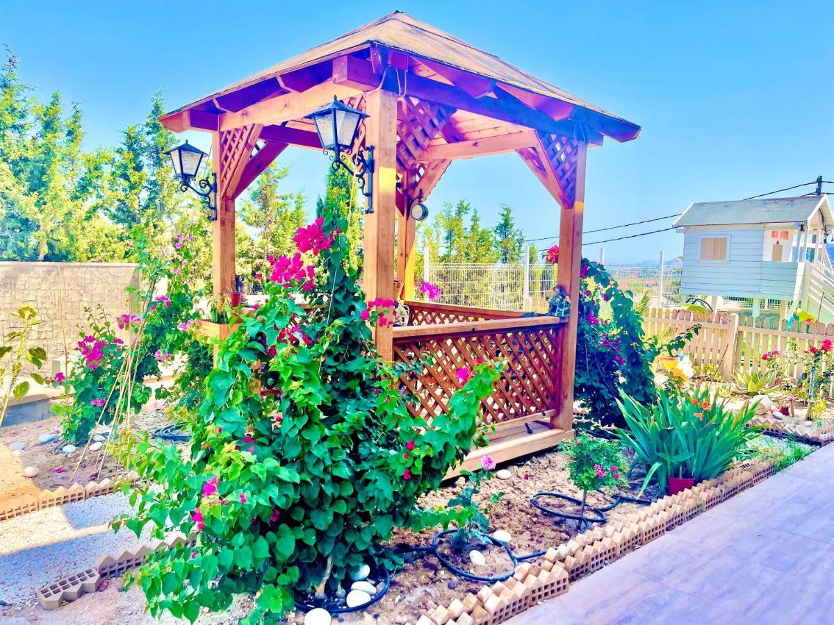 Montainbeach Villa San Vicente Raspeig Dış mekan fotoğraf